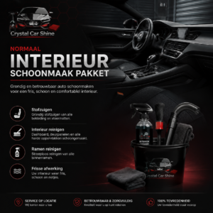 Normale Interieur Reiniging